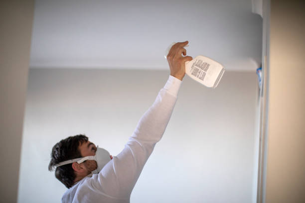 Best White Mold Remediation in Columbus Junction, IA