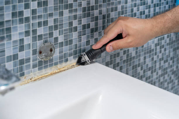 Best Commercial Mold Remediation in Columbus Junction, IA